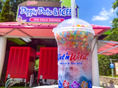 Cup of Dippin Dots - The Oasis at Wet n WIld